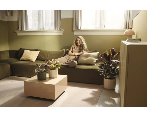 Salon lumineux avec canapé vert, table basse beige et diverses plantes d'intérieur en pots.