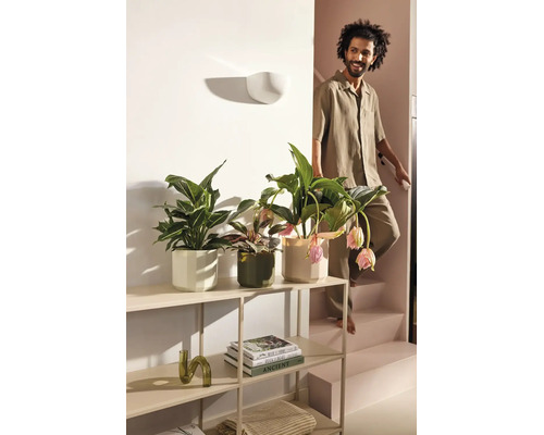 Trois différentes plantes d intérieur dans des cache-pots décoratifs sur une étagère métallique à côté d un escalier dans un intérieur clair.
