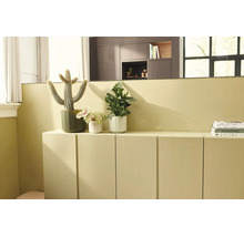 Salon moderne avec un buffet bas et une peinture murale assortie, décoré de plantes d'intérieur dont un cactus.