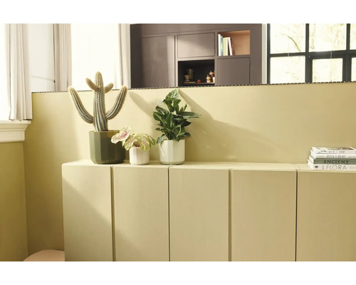 Salon moderne avec un buffet bas et une peinture murale assortie, décoré de plantes d'intérieur dont un cactus.
