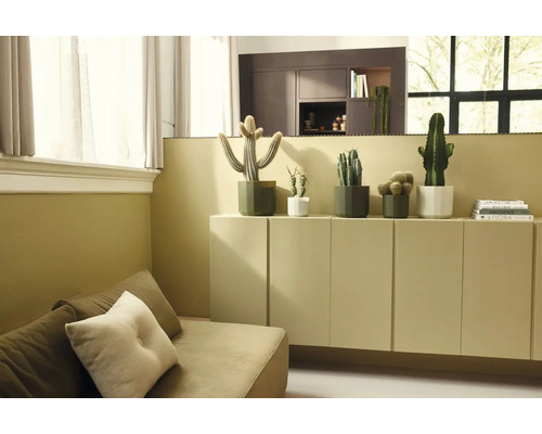 Divers cactus dans des pots géométriques sur un buffet dans un salon lumineux et moderne avec un canapé.