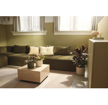Salon moderne avec canapé vert, table basse beige, diverses plantes d'intérieur et murs bicolores en vert olive et blanc.
