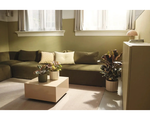 Salon moderne avec canapé vert, table basse beige, diverses plantes d'intérieur et murs bicolores en vert olive et blanc.