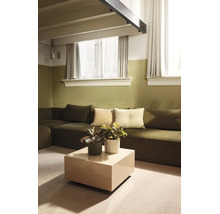 Salon moderne avec murs peints en deux couleurs, grand canapé d'angle, table d'appoint carrée et plantes d'intérieur décoratives.
