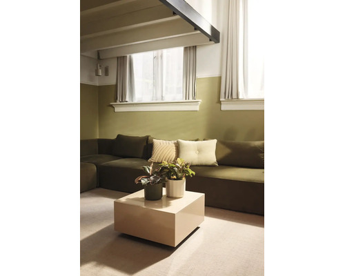 Salon moderne avec murs peints en deux couleurs, grand canapé d'angle, table d'appoint carrée et plantes d'intérieur décoratives.