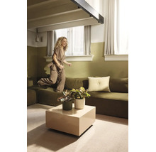 Salon moderne avec murs verts, canapé modulable, table basse carrée et plantes d'intérieur. Une femme saute sur le canapé.