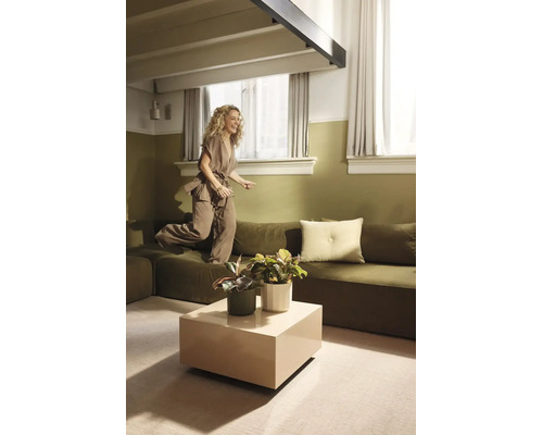 Salon moderne avec murs verts, canapé modulable, table basse carrée et plantes d'intérieur. Une femme saute sur le canapé.