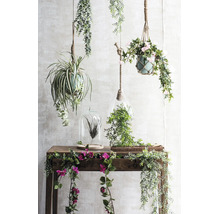 Plantes artificielles suspendues, terrariums et lianes fleuries décoratives sur une console en bois.