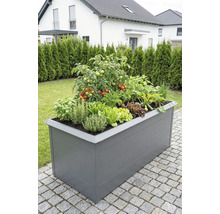 Carré potager rectangulaire gris sur une terrasse, planté de tomates, d'herbes comme le basilic et le romarin et de salade.