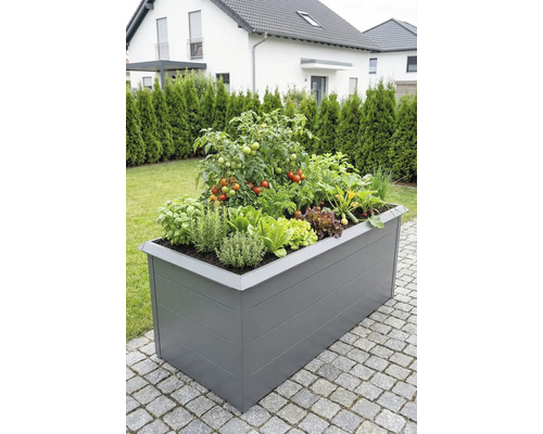 Carré potager rectangulaire gris sur une terrasse, planté de tomates, d'herbes comme le basilic et le romarin et de salade.