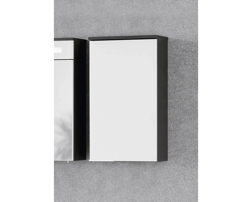 Meuble de salle de bain mural avec façade blanche et corps sombre.