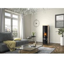Moderner Kaminofen mit brennendem Feuer in einem Wohnzimmer mit Sofa, Glastisch und Parkettboden.