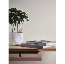 Papier peint clair à structure discrète dans une pièce moderne avec meubles en bois et plante verte.