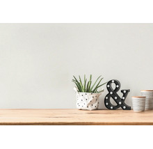 Décoration d'intérieur moderne avec aloe vera en pot, esperluette à LED et bocaux en céramique sur une surface en bois clair.