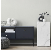 Salon moderne avec buffet sombre, piédestal aspect marbre, coquillage décoratif, vase et pouf en tricot gris.