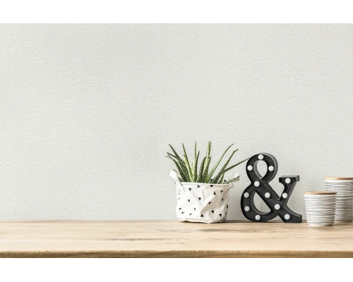 Papier peint texturé dans une pièce lumineuse avec une aloe vera, une esperluette lumineuse et des pots sur une surface en bois.