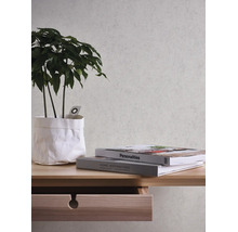 Papier peint intissé structuré aspect crépi dans une pièce lumineuse avec bureau en bois et plante d'intérieur.