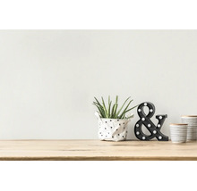 Décoration d'intérieur moderne sur table en bois avec succulente, esperluette lumineuse noire et boîtes en céramique rayées.