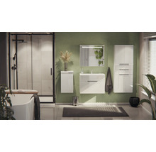 Salle de bains moderne avec meuble sous-vasque, armoire de toilette, armoire haute, douche et baignoire îlot dans une atmosphère organisée.