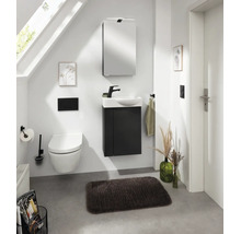Salle de bains d'invités moderne avec meuble sous-vasque sombre, toilettes suspendues blanches, armoire de toilette et robinetterie noire.