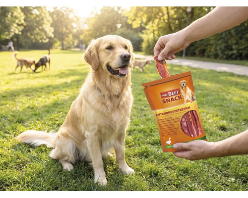 Hundesnack Mr. Beef Entenbrust 90 g Kauartikel