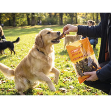 Hundesnack MR. BEEF Rinderlunge 400 g Kauartikel