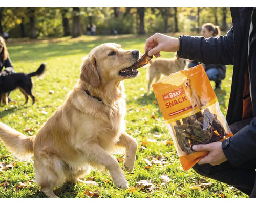 Hundesnack MR. BEEF Rinderlunge 400 g Kauartikel