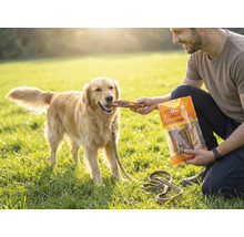 Hundesnack, Mr. Beef Bullkau 15 cm 250 g Kauartikel