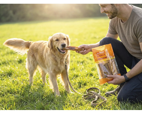 Hundesnack, Mr. Beef Bullkau 15 cm 250 g Kauartikel