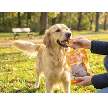 Hundesnack MR. BEEF Rinderohren 200 g Kauartikel