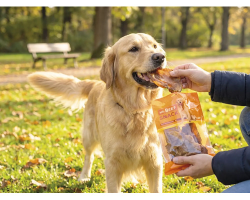 Hundesnack MR. BEEF Rinderohren 200 g Kauartikel