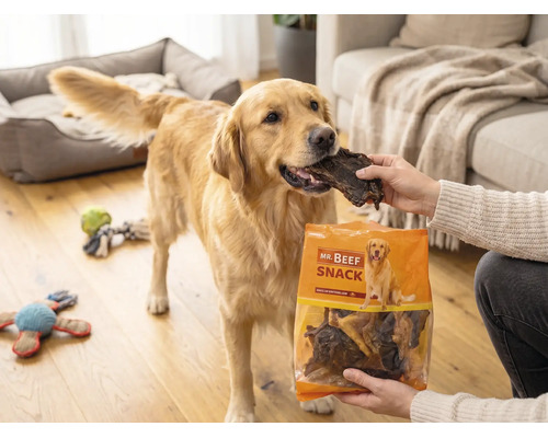 Hundesnack, Mr. Beef Natura Kaumix 500 g Kauartikel