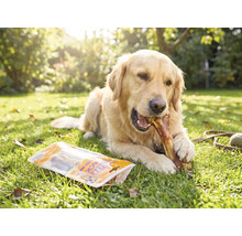 Hundesnack MR. BEEF Schinkenknochen 280 g Kauartikel