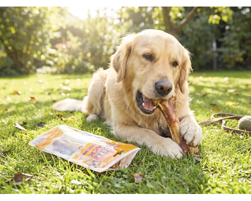 Hundesnack MR. BEEF Schinkenknochen 280 g Kauartikel