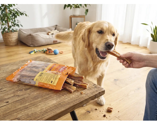Hundesnack, Mr. Beef Carne Kausticks 250 g Kauartikel