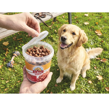 Nourriture pour chiens MR. BEEF Trainees 500 g friandises à mâcher