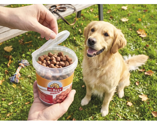 Nourriture pour chiens MR. BEEF Trainees 500 g friandises à mâcher