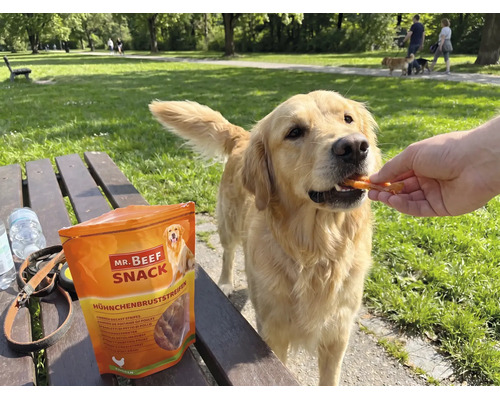 En-cas pour chiens Mr. Beef filet de poulet 90 g friandises à mâcher