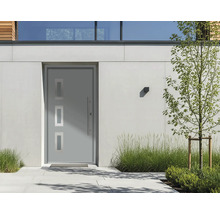 Moderne graue Haustür mit drei rechteckigen Lichtausschnitten und Edelstahlstangengriff in einer hellen Hausfassade mit Pflanzen.