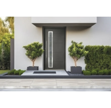 Porte d'entrée moderne anthracite avec vitrage vertical étroit, poignée barre en acier inoxydable et deux plantes en pot dans une entrée lumineuse.