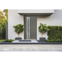 Porte d'entrée moderne avec vitrage vertical, poignée en acier inoxydable et rainures horizontales dans une entrée lumineuse avec bacs à plantes.