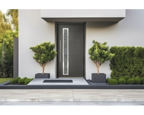 Porte d'entrée moderne anthracite avec vitrage vertical étroit, poignée barre en acier inoxydable et deux plantes en pot dans une entrée lumineuse.