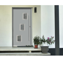 Porte d'entrée moderne en aluminium avec trois inserts en verre et longue poignée dans une entrée claire avec plantes et marches en pierre.