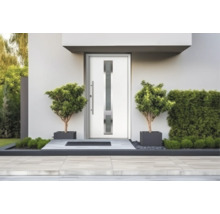 Porte d entrée moderne blanche avec insert en verre vertical et poignée barre en acier inoxydable dans une façade claire avec plantes.