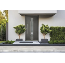 Porte d entrée moderne gris foncé avec découpe vitrée verticale et longue poignée barre dans une entrée lumineuse avec des plantes.