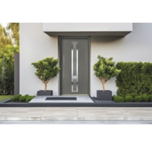 Porte d'entrée grise moderne avec découpe vitrée verticale et longue poignée en inox, encadrée de deux petits arbres dans des bacs carrés.