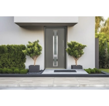 Porte d'entrée moderne anthracite avec vitrage vertical et longue poignée en acier inoxydable dans une entrée minimaliste avec deux plantes en pot.