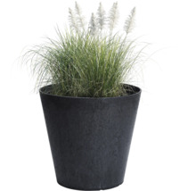 Pot de fleurs conique gris foncé avec graminée ornementale et plumets blancs.