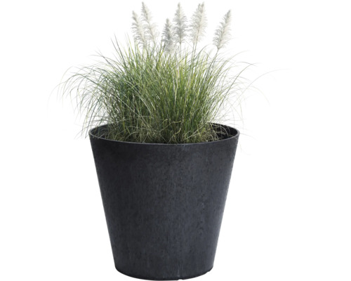 Pot de fleurs conique gris foncé avec graminée ornementale et plumets blancs.