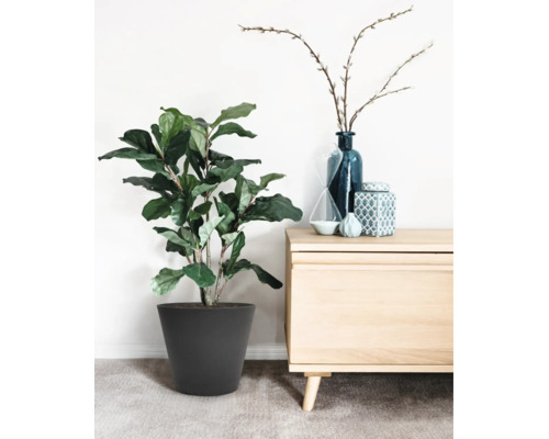 Grande plante verte dans un pot gris foncé à côté d'un buffet en bois clair avec une décoration bleue et un sablier dans une pièce lumineuse.